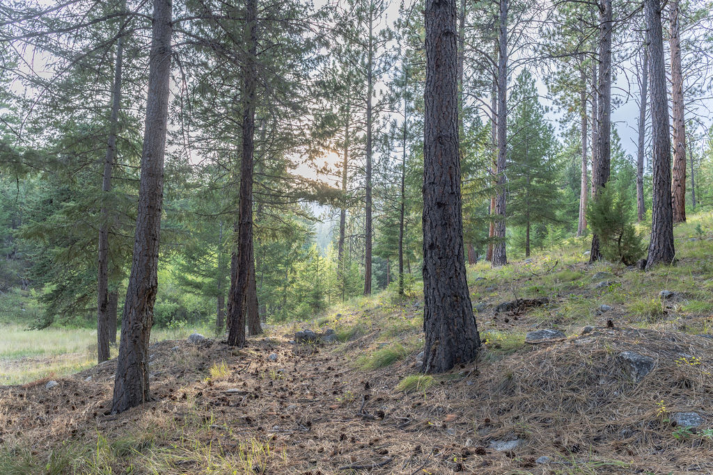 2044 Night Hawk Trail