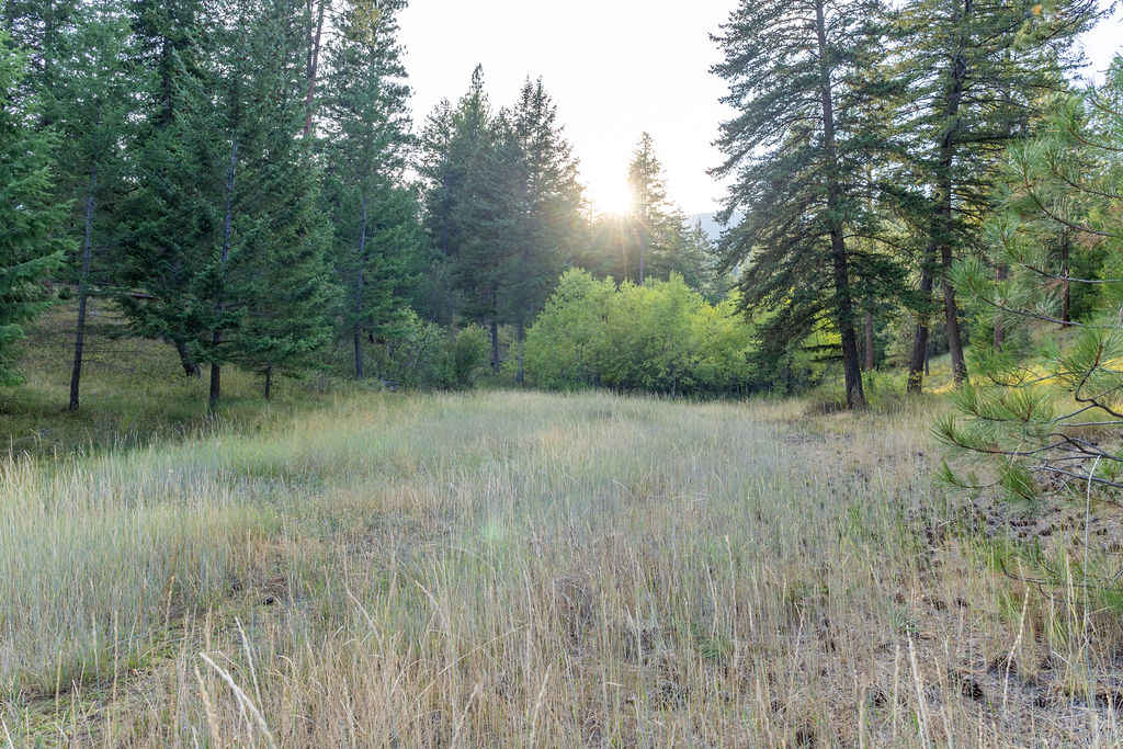 2044 Night Hawk Trail