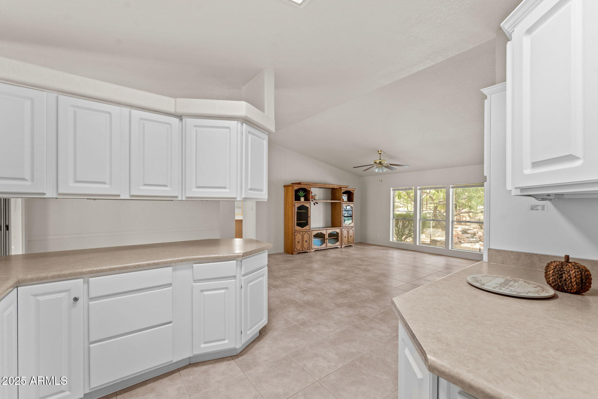 23117 W STAGHORN Lane