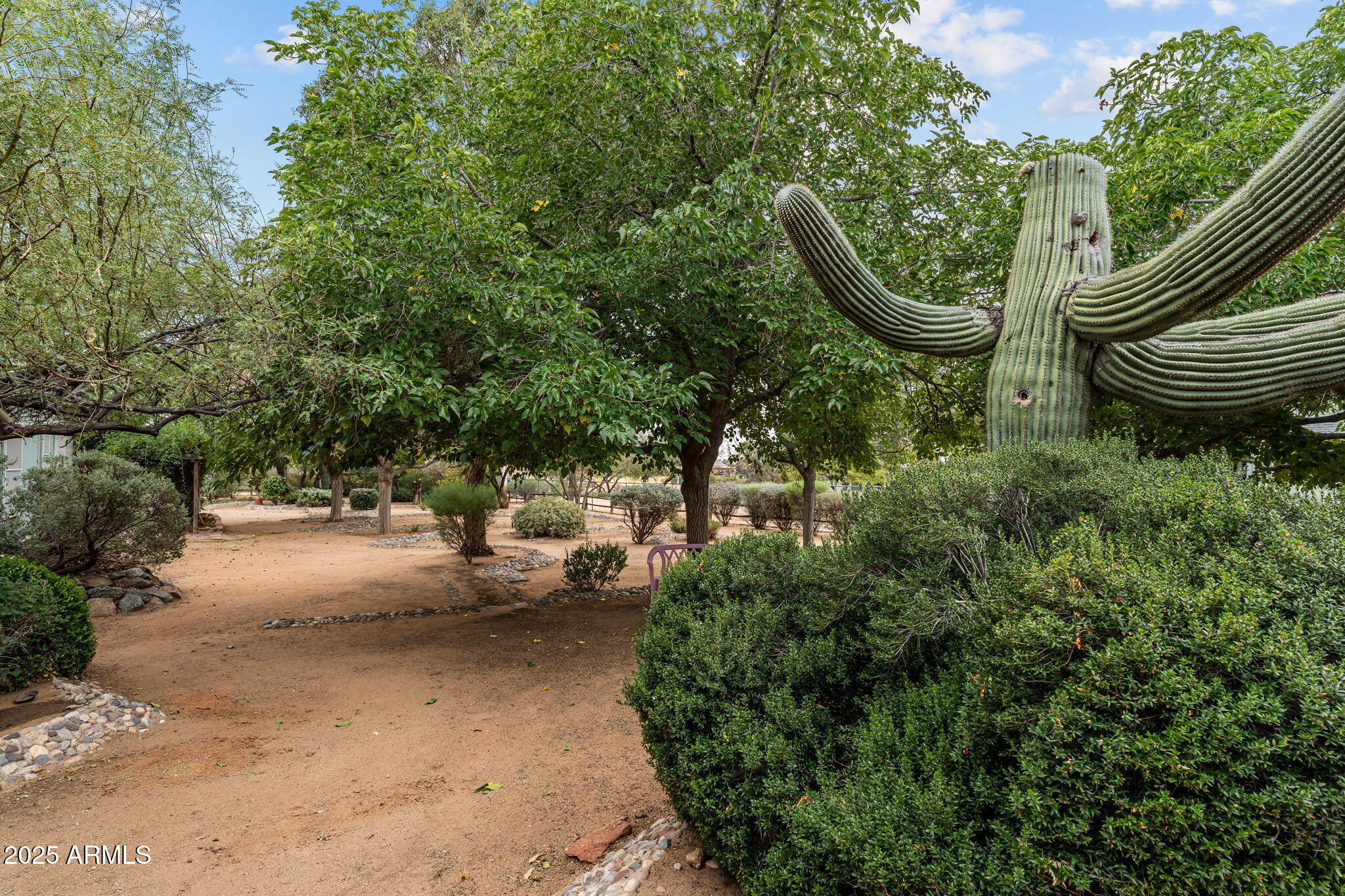 23117 W STAGHORN Lane