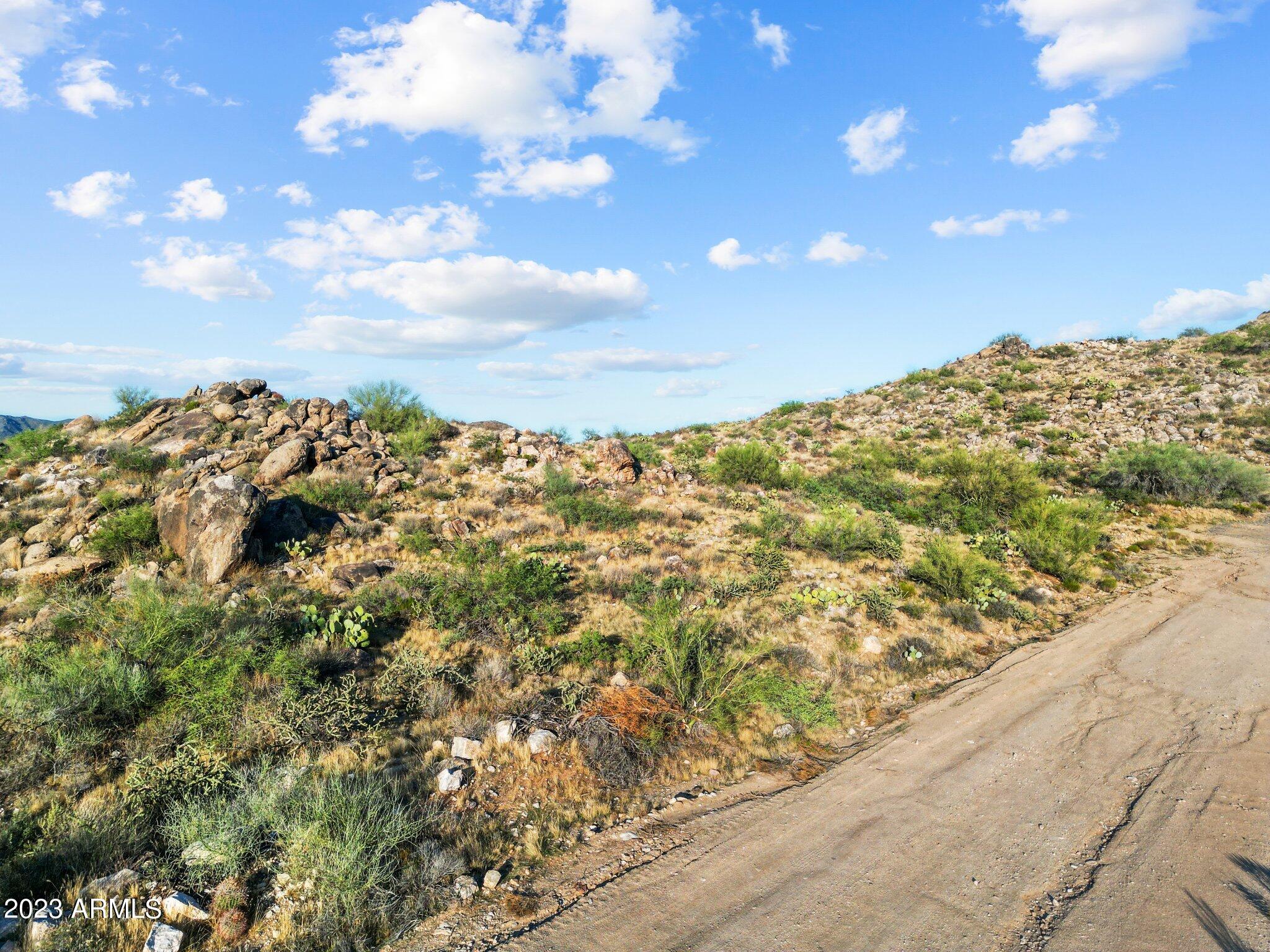 23325 W Gold Dollar Trail, -, Congress Unit: -