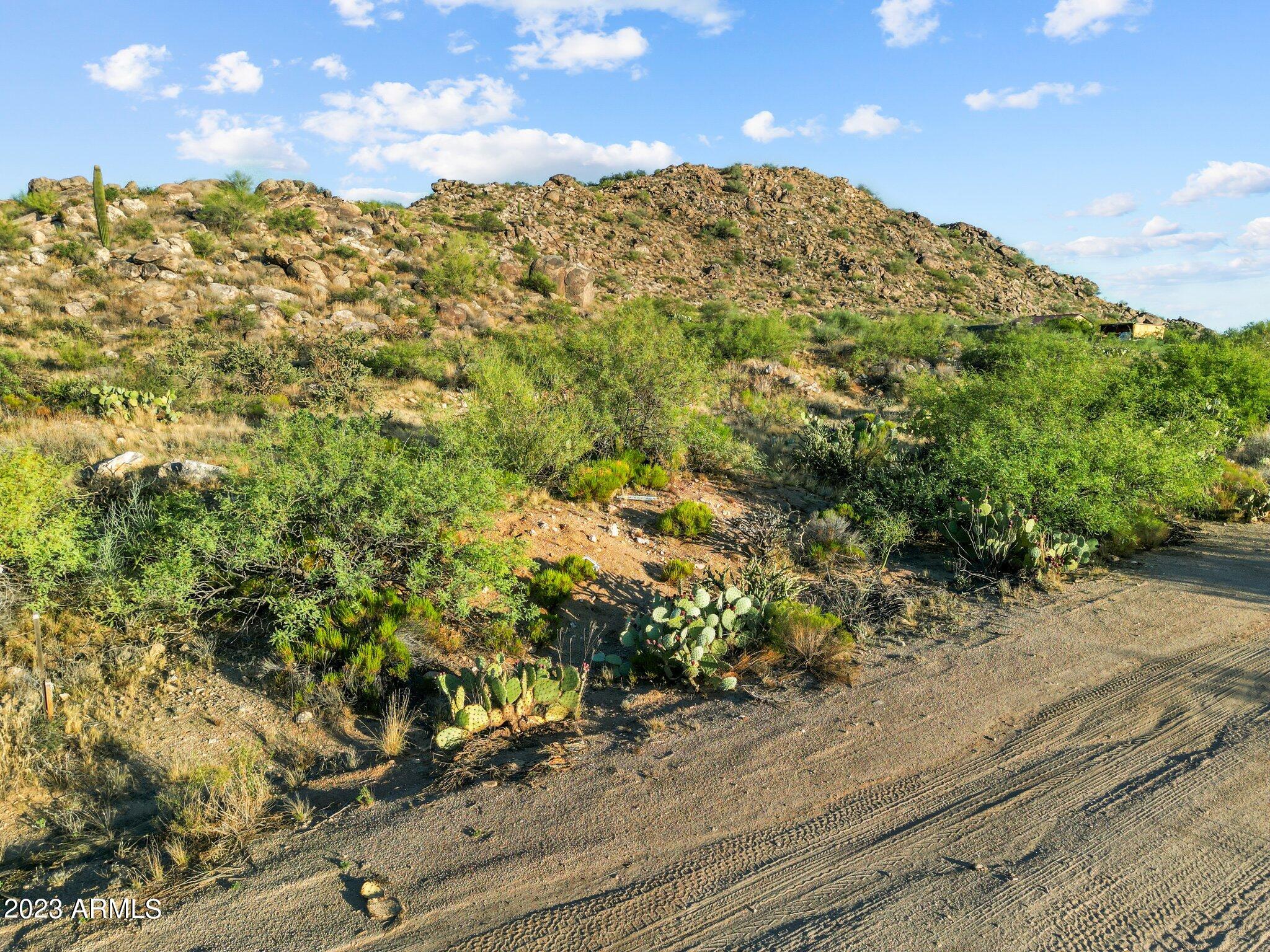 23325 W Gold Dollar Trail, -, Congress Unit: -