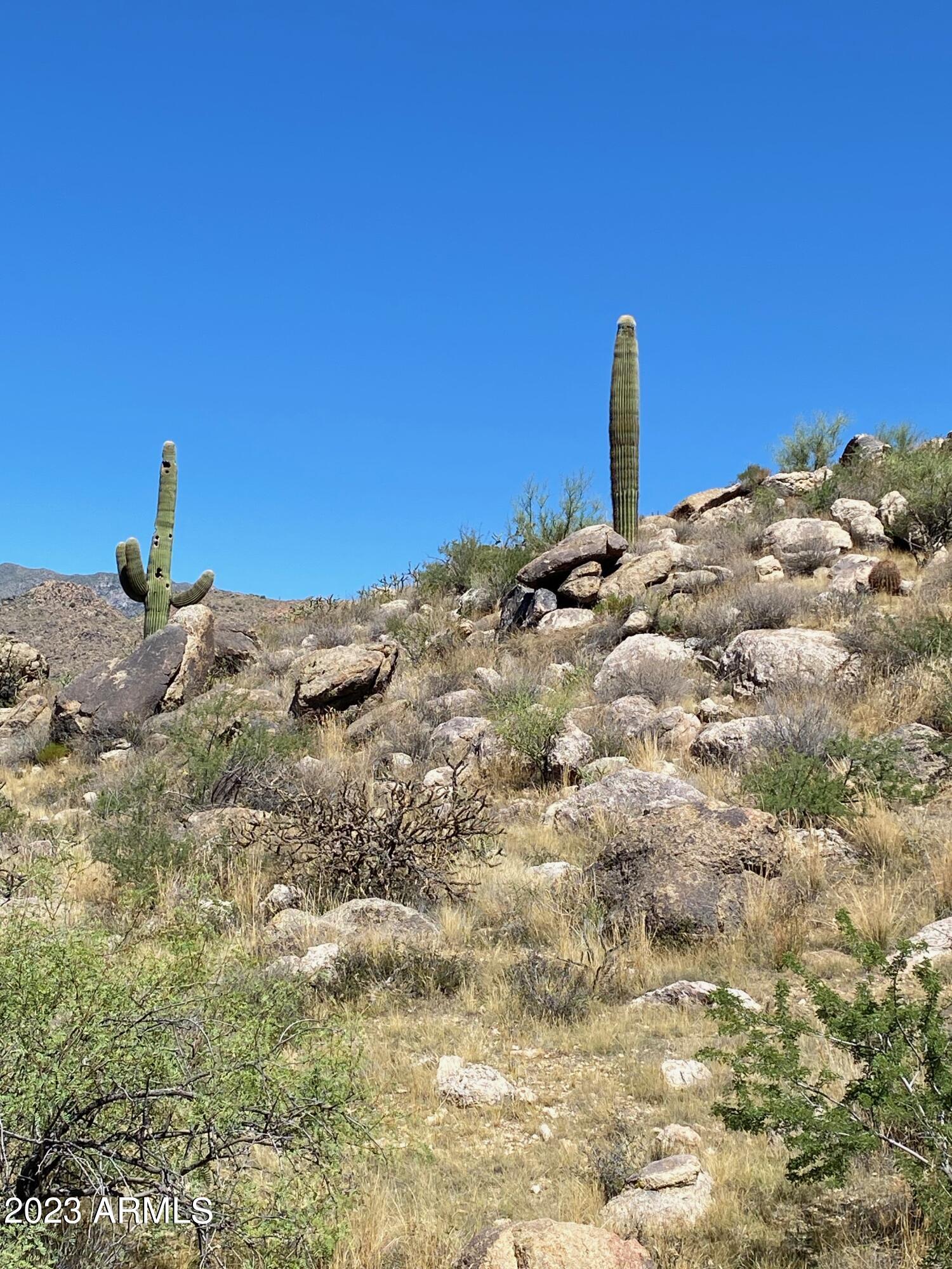 23325 W Gold Dollar Trail, -, Congress Unit: -