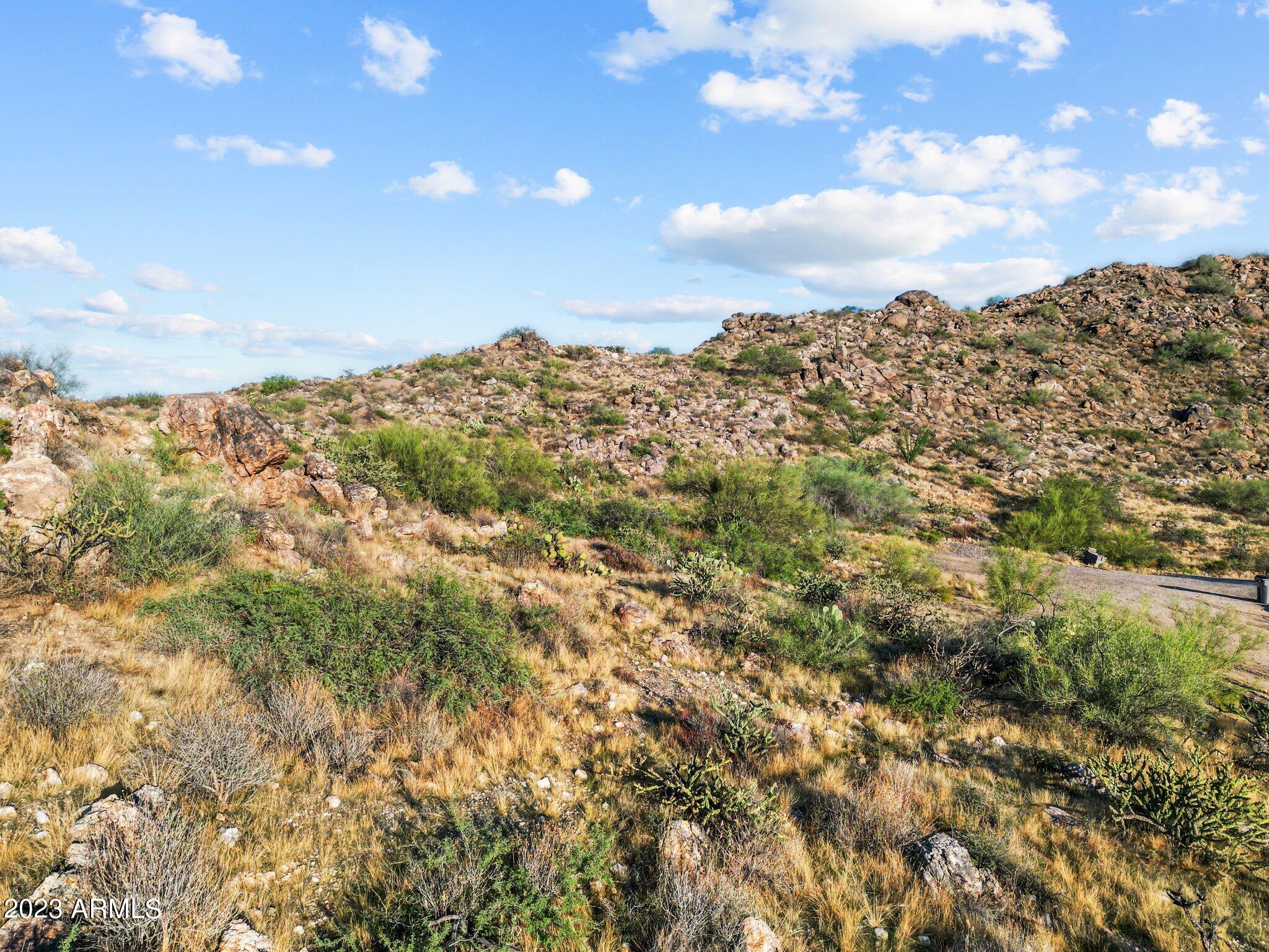 23325 W Gold Dollar Trail, -, Congress Unit: -