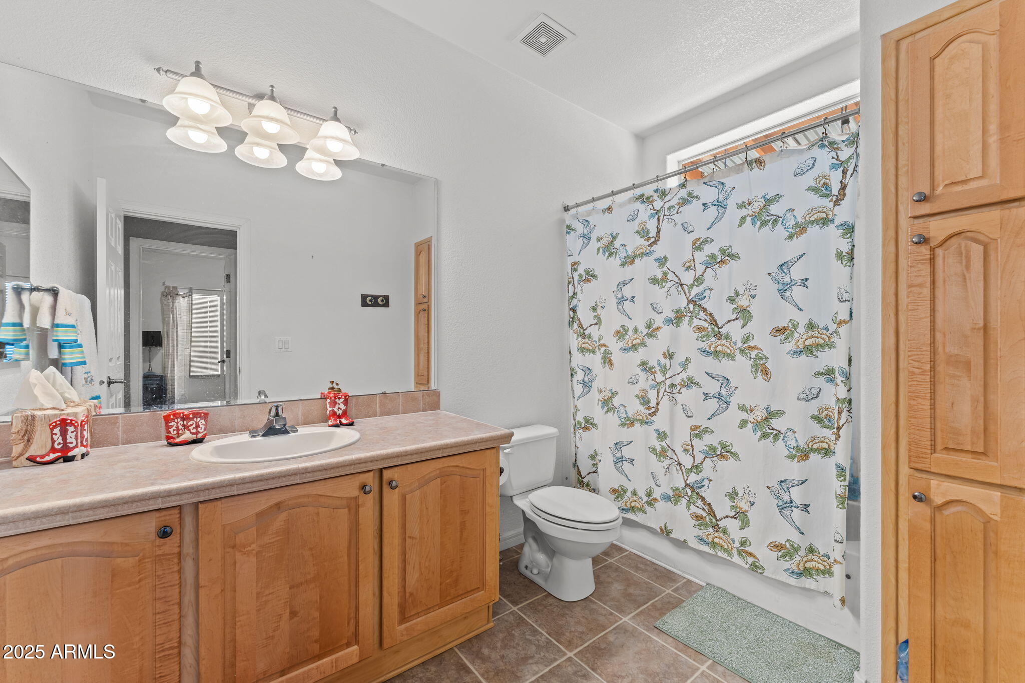 23345 W LOS HUESOS Way, Congress