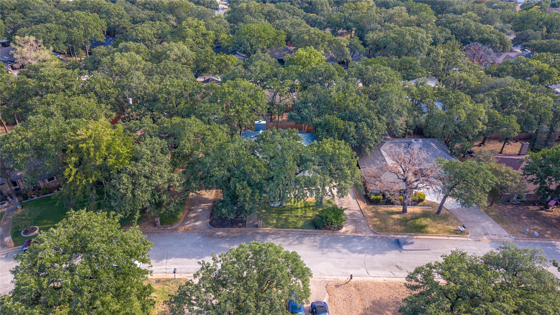 4404 Rain Forest Drive