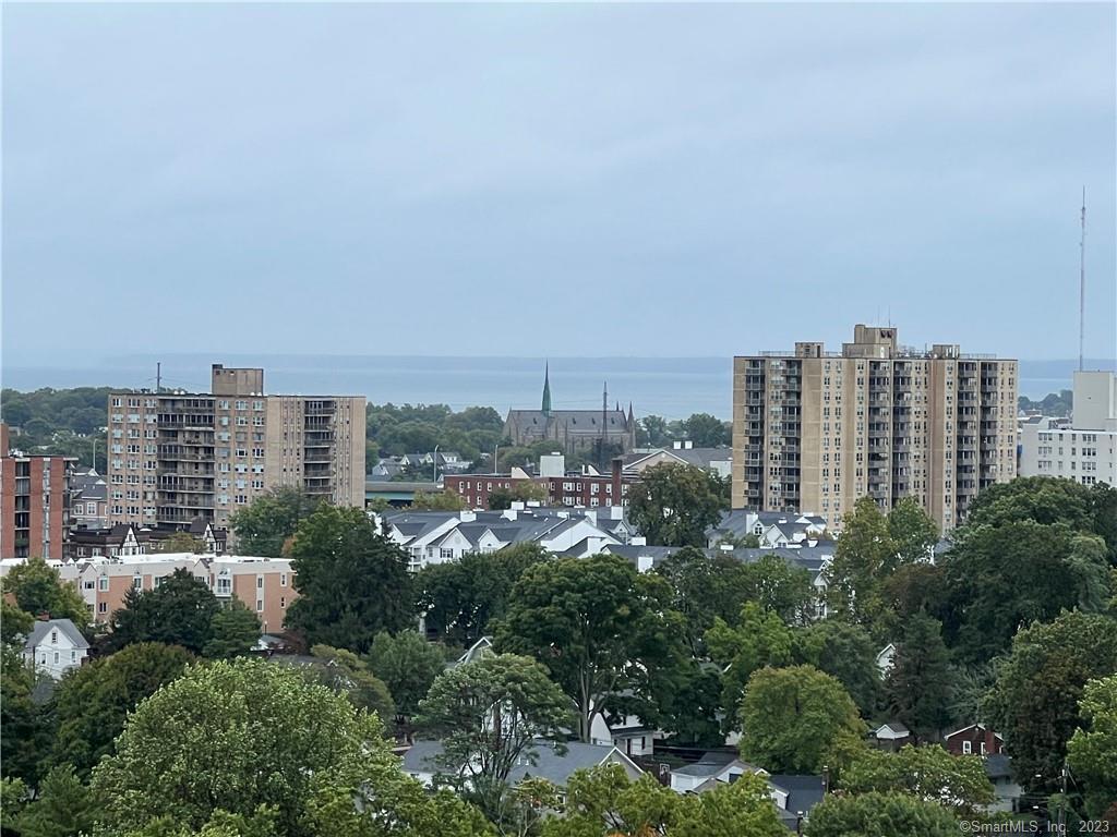 71 Strawberry Hill Avenue APT 1102