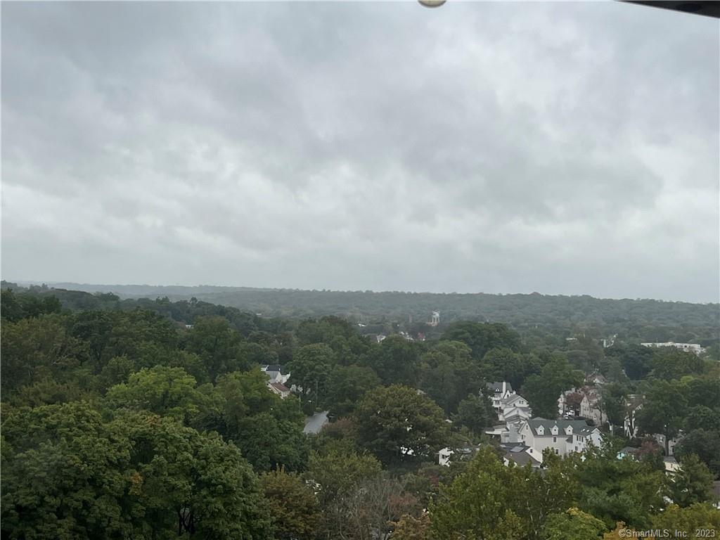 71 Strawberry Hill Avenue APT 1102