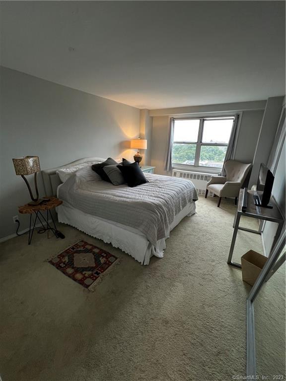 71 Strawberry Hill Avenue APT 1102