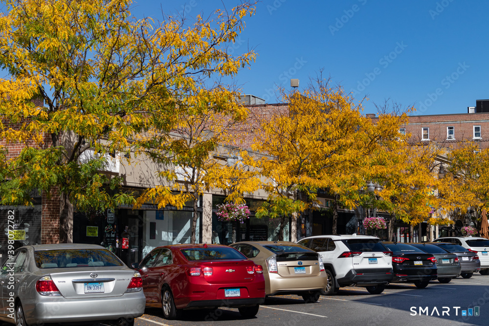 444 Bedford Street APT 8F