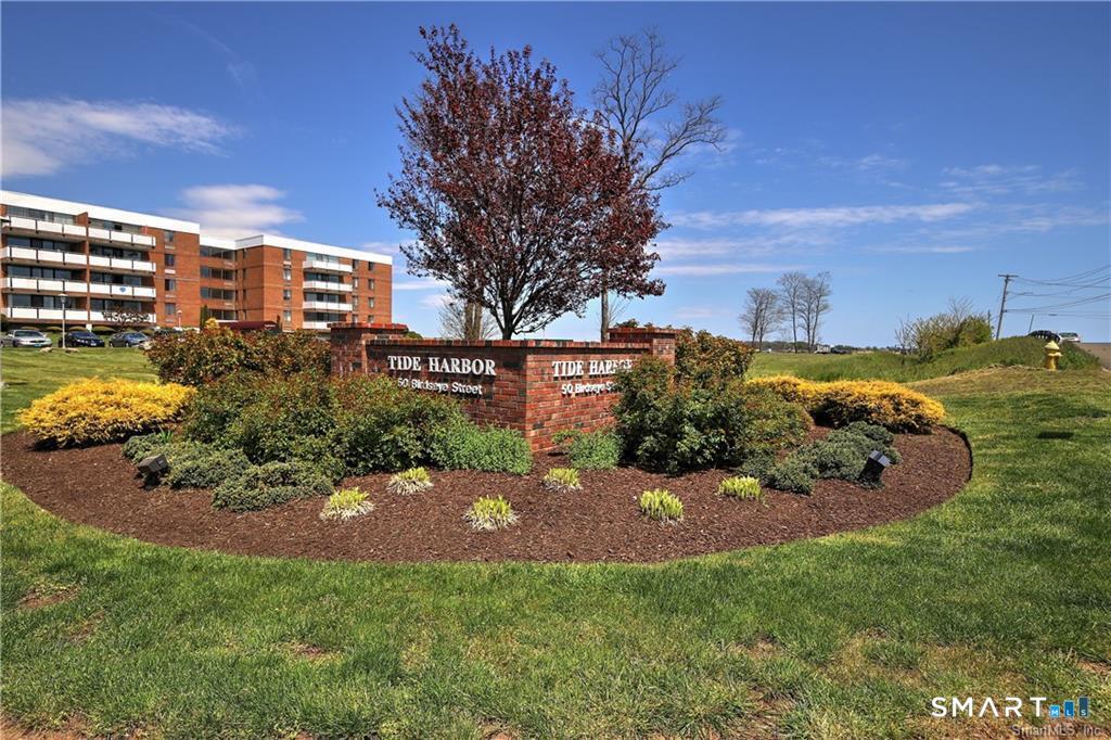 50 Birdseye Street Unit: 407