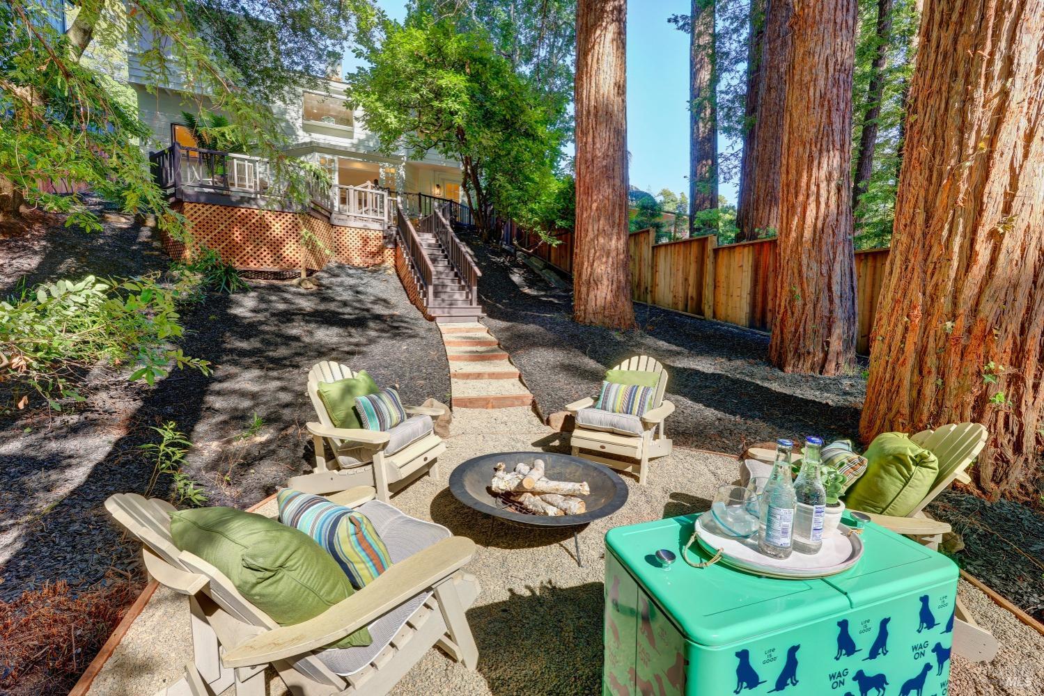 239 W Blithedale Ave