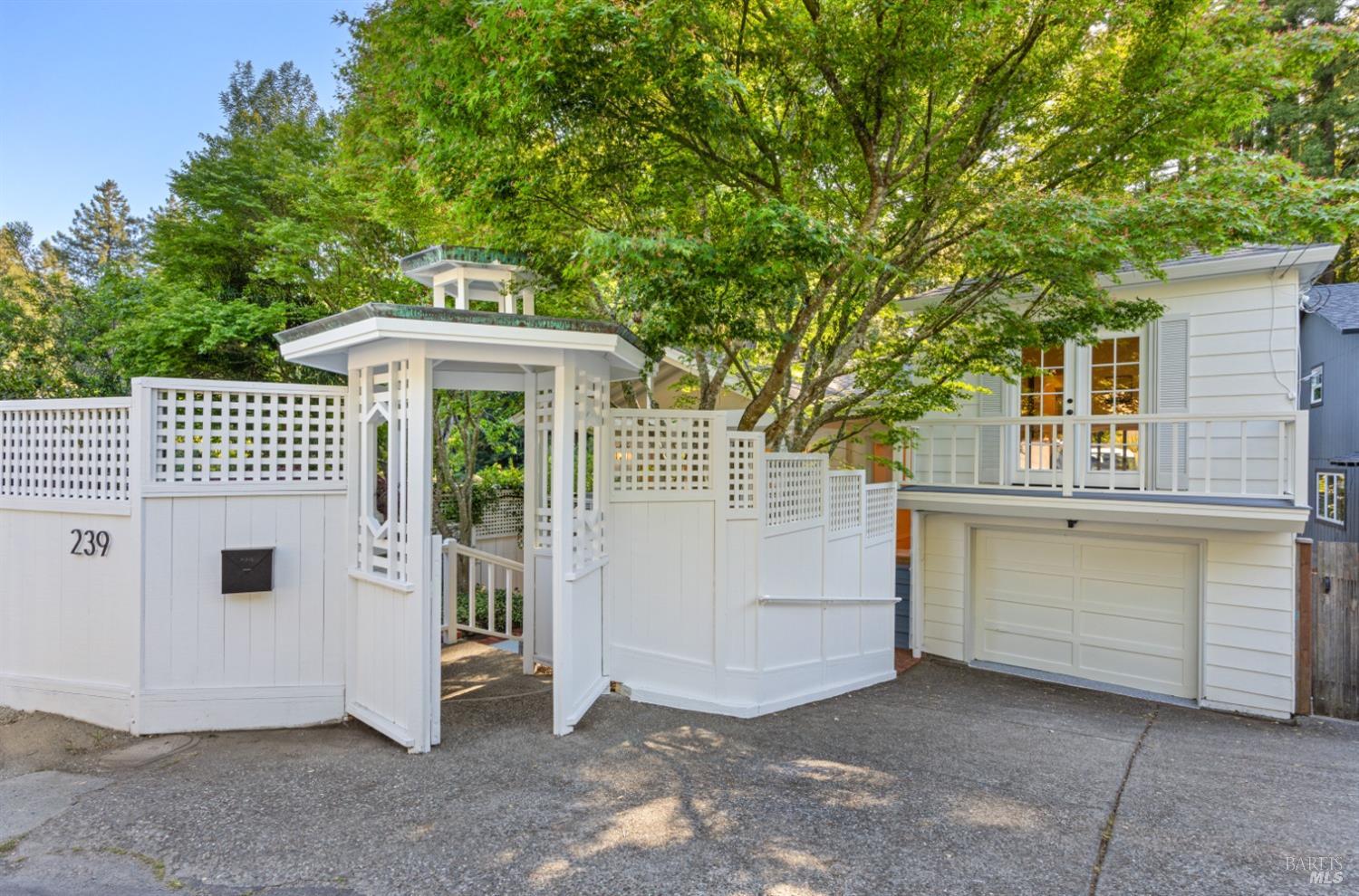 239 W Blithedale Ave