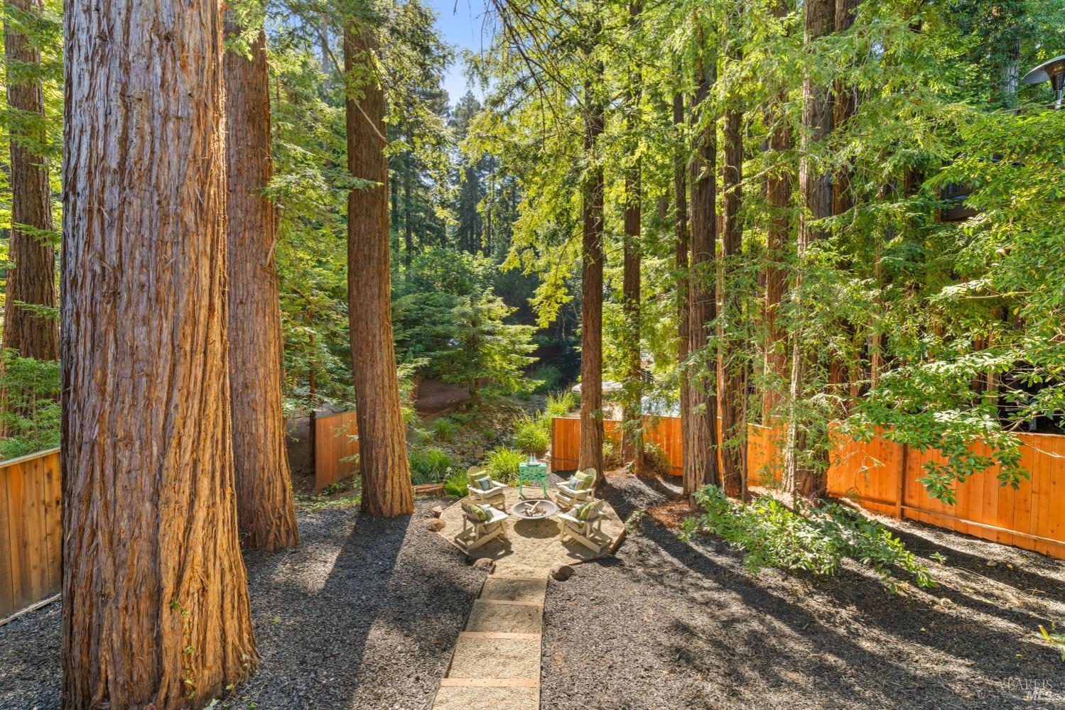 239 W Blithedale Ave