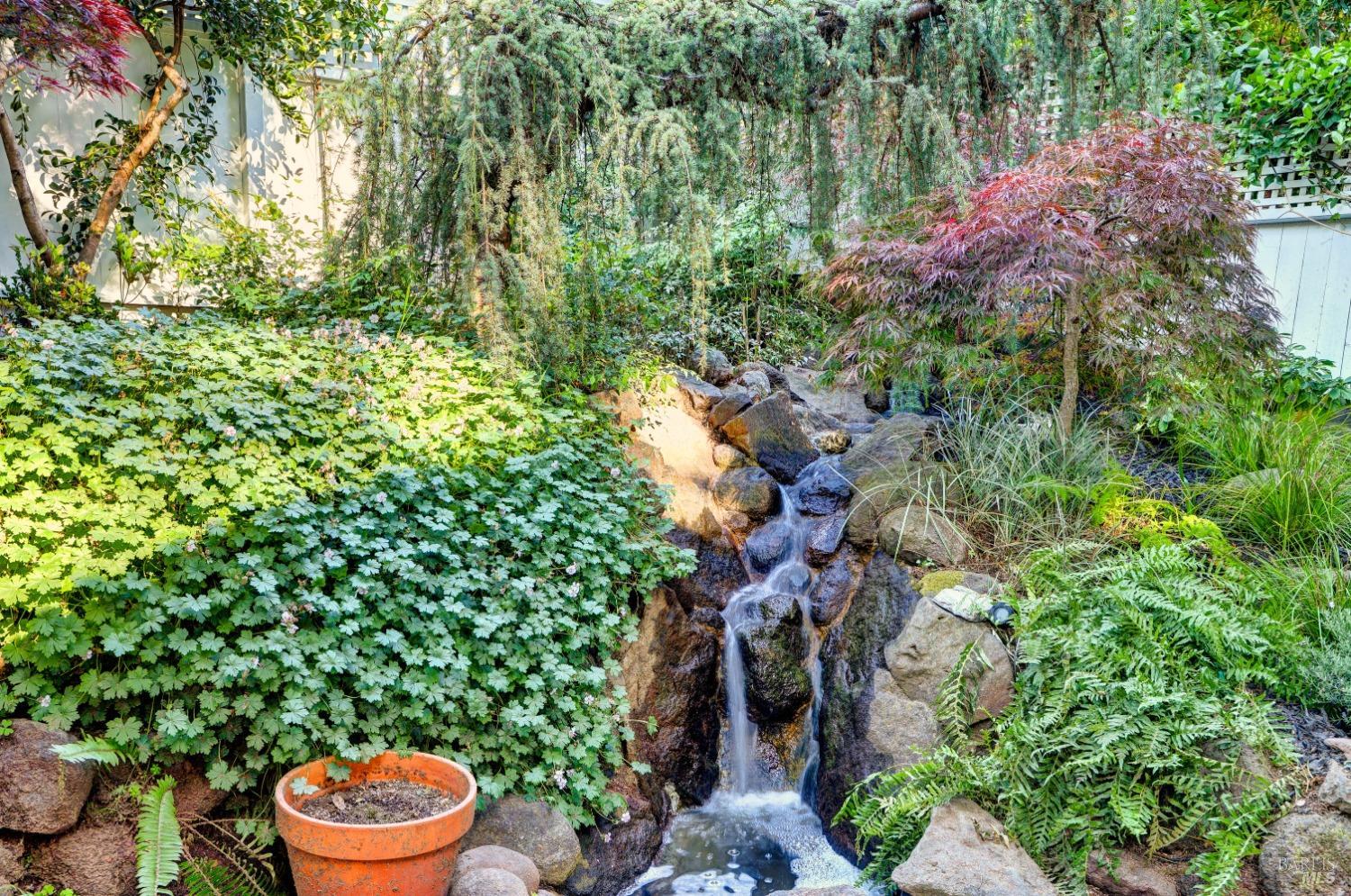 239 W Blithedale Ave