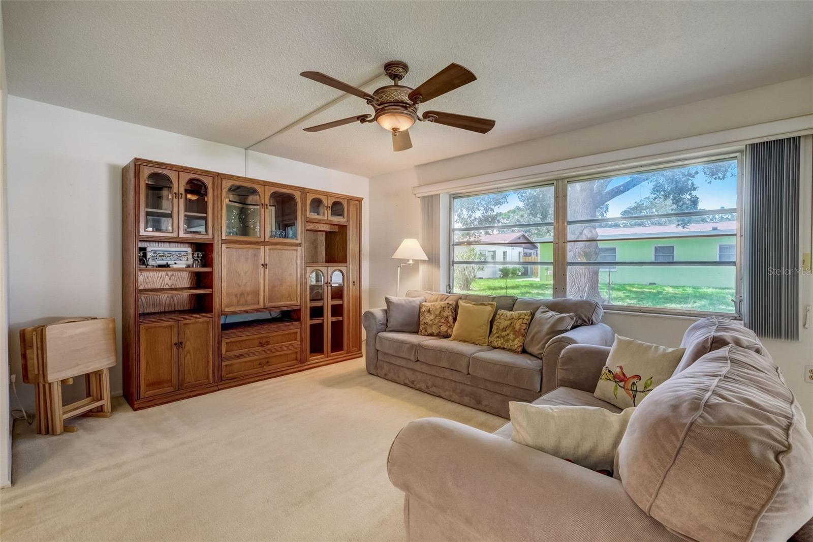 6231 GREEN VIEW CIR #78