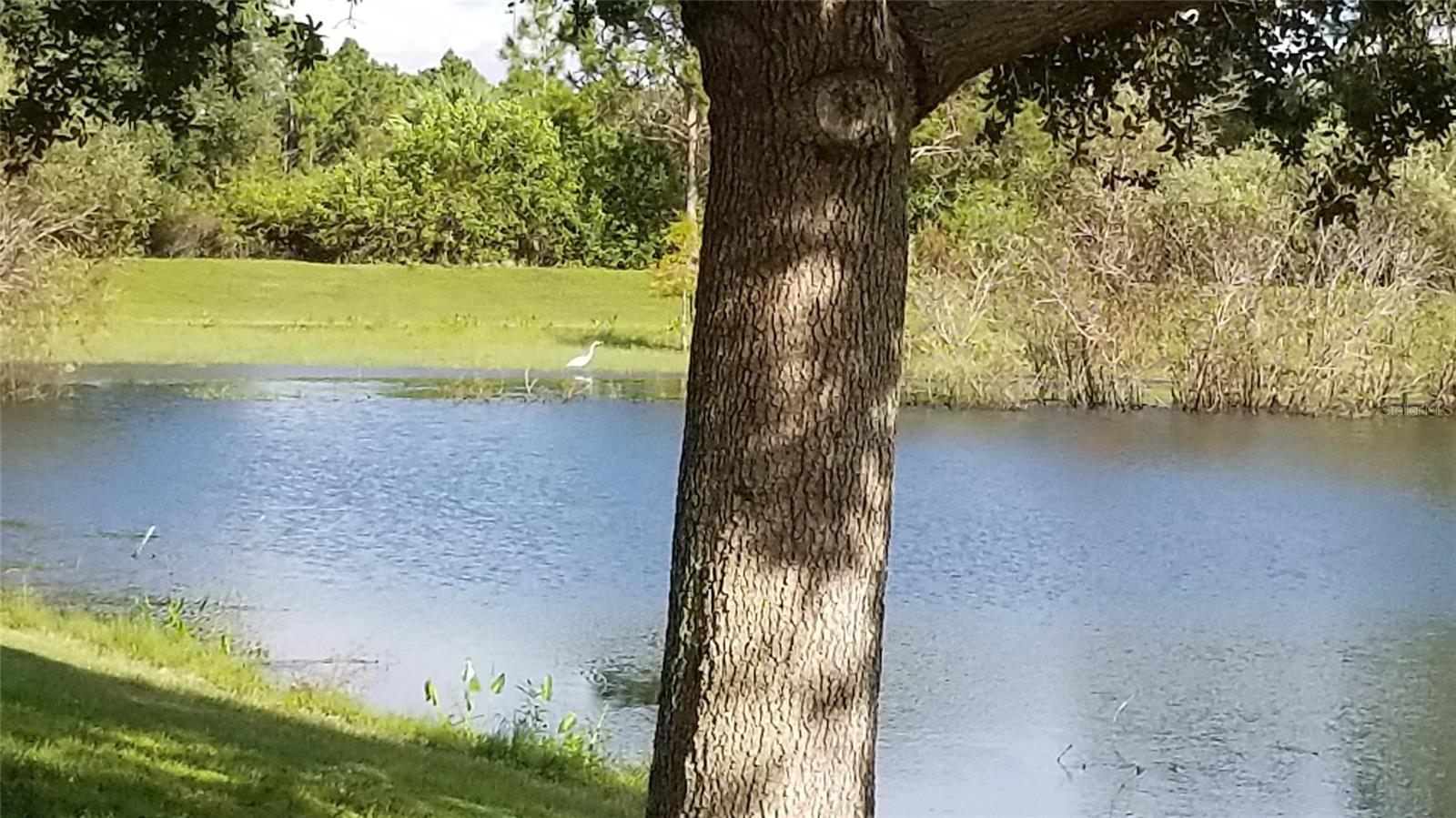 0997160030 BOLANDER TER