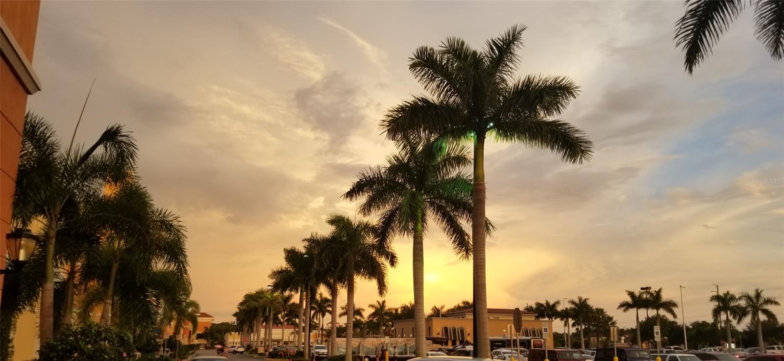 0997160030 BOLANDER TER