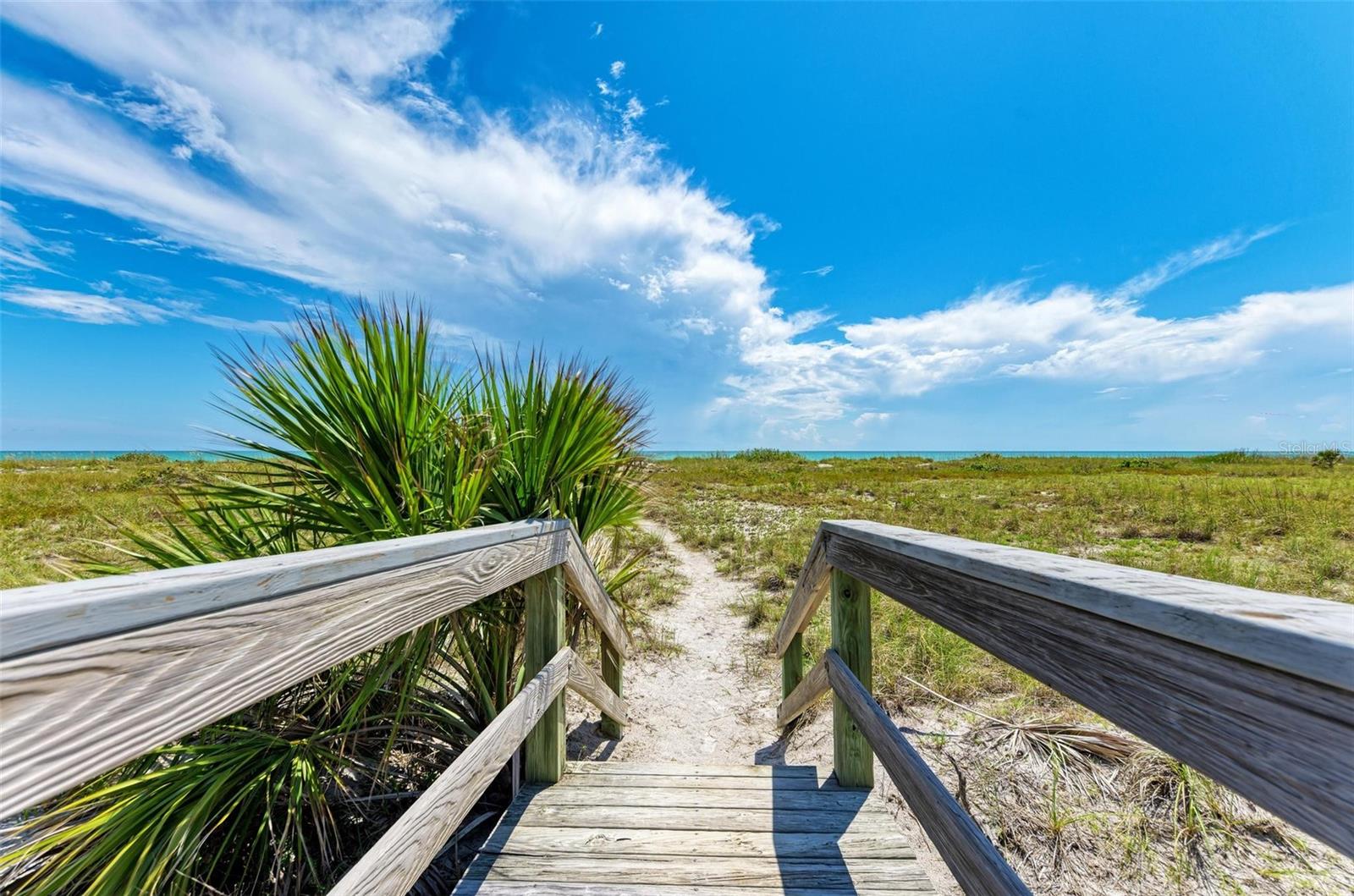 7446 PALM ISLAND DR #3524