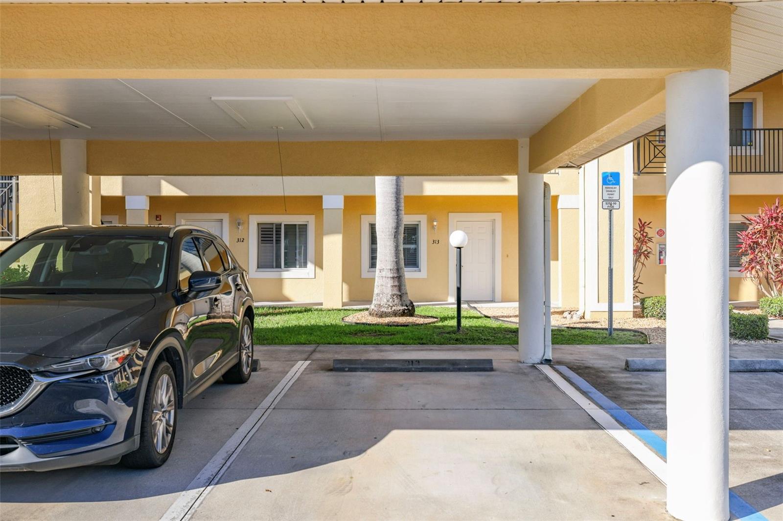 7196 N PLUM TREE #313