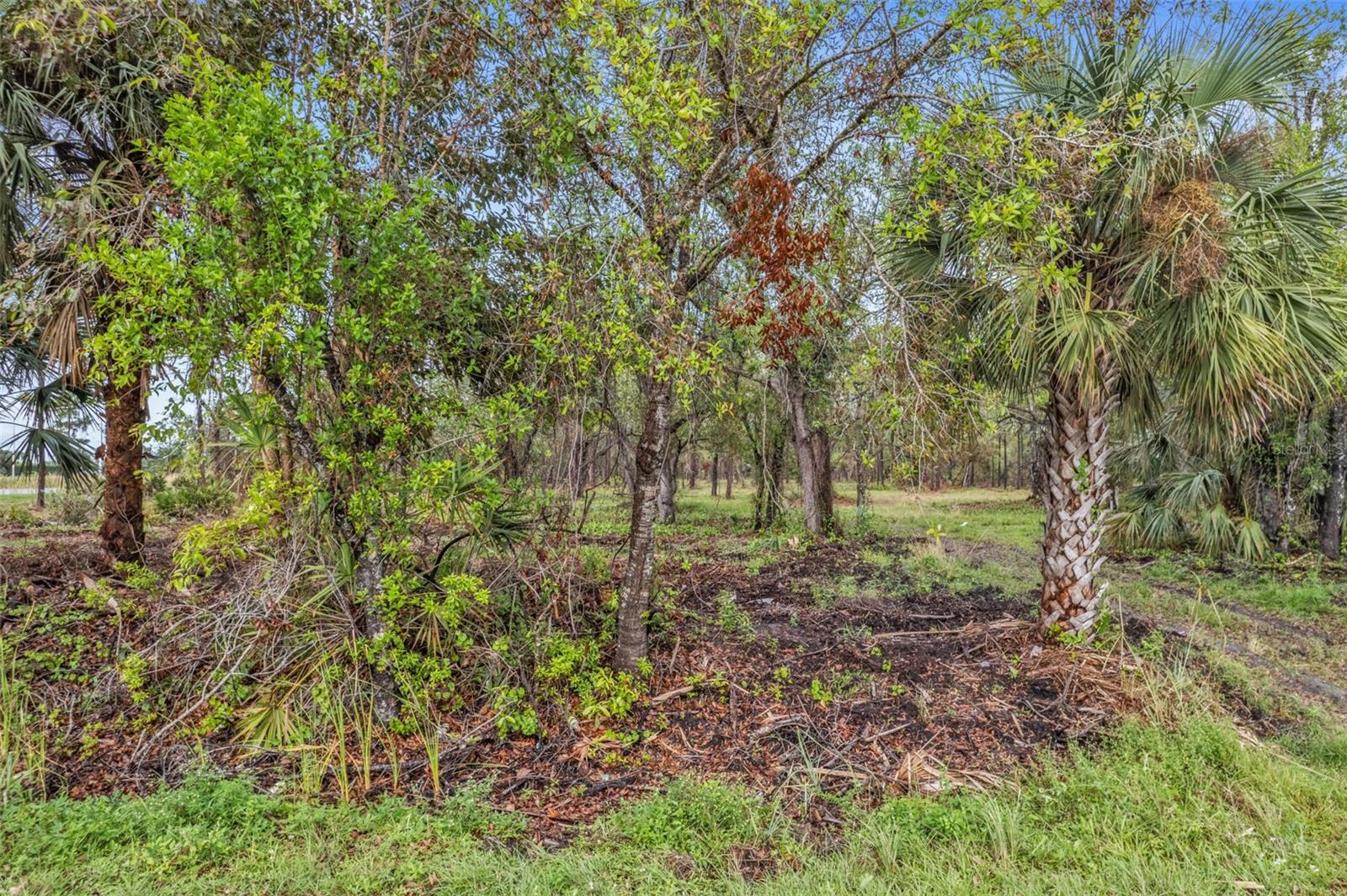 14204 BURNT STORE RD