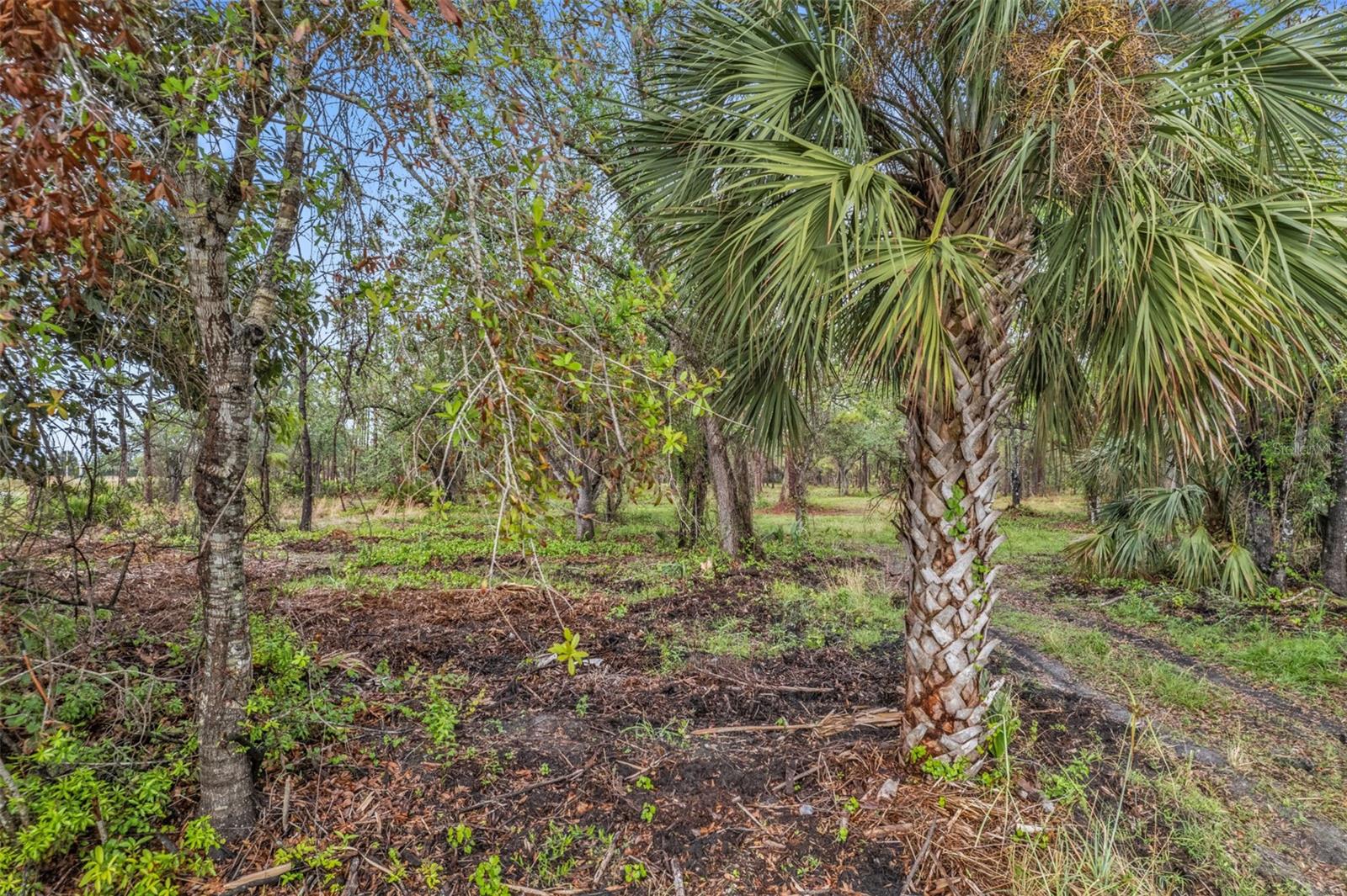 14204 BURNT STORE RD