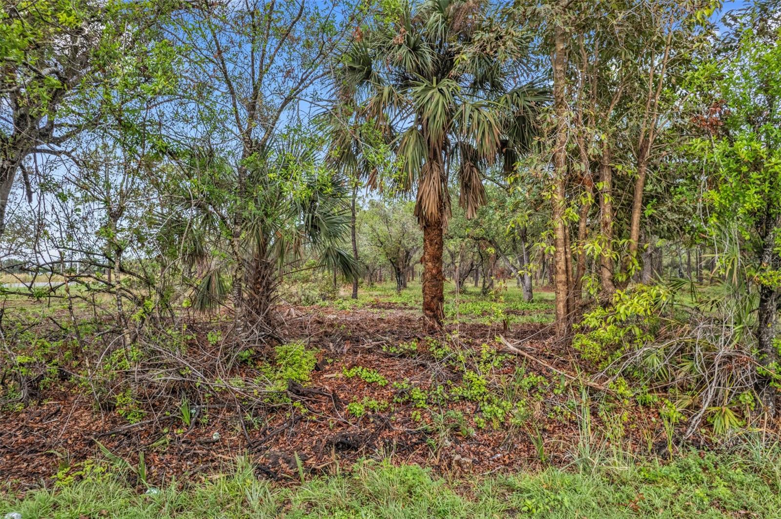 14204 BURNT STORE RD