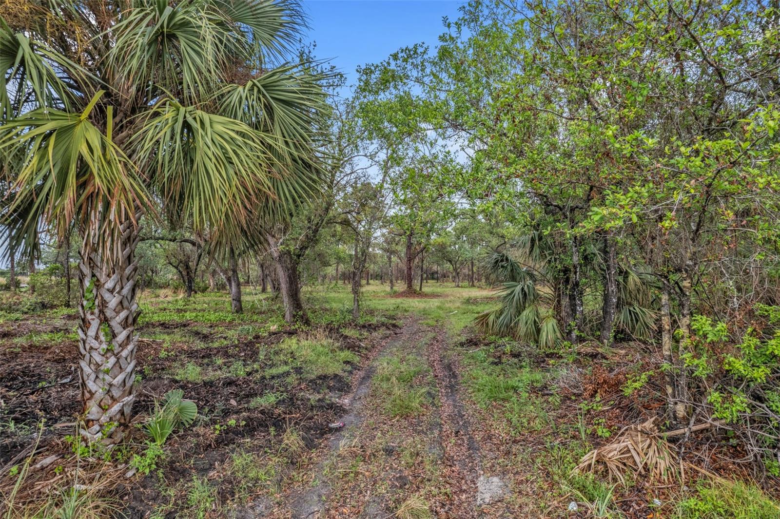 14204 BURNT STORE RD