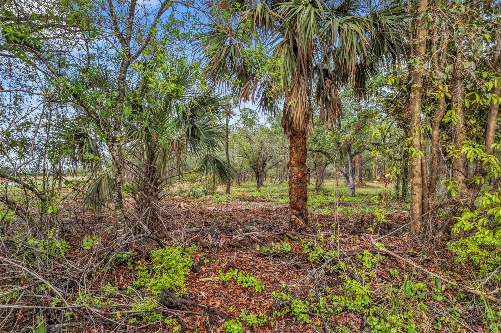 14204 BURNT STORE RD