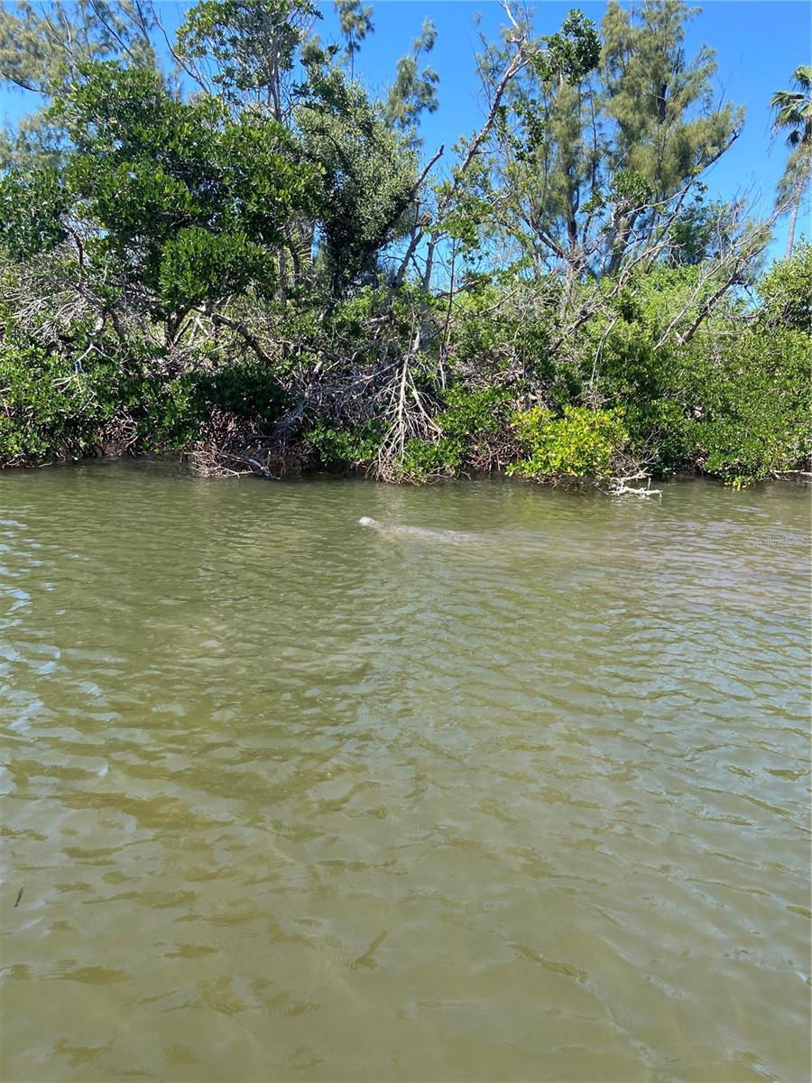 Lot 7 & 10 ACCESS UNDETERMINED