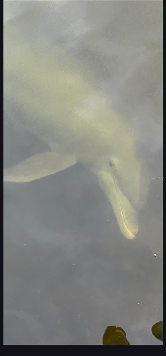 3736 BAL HARBOR BLVD