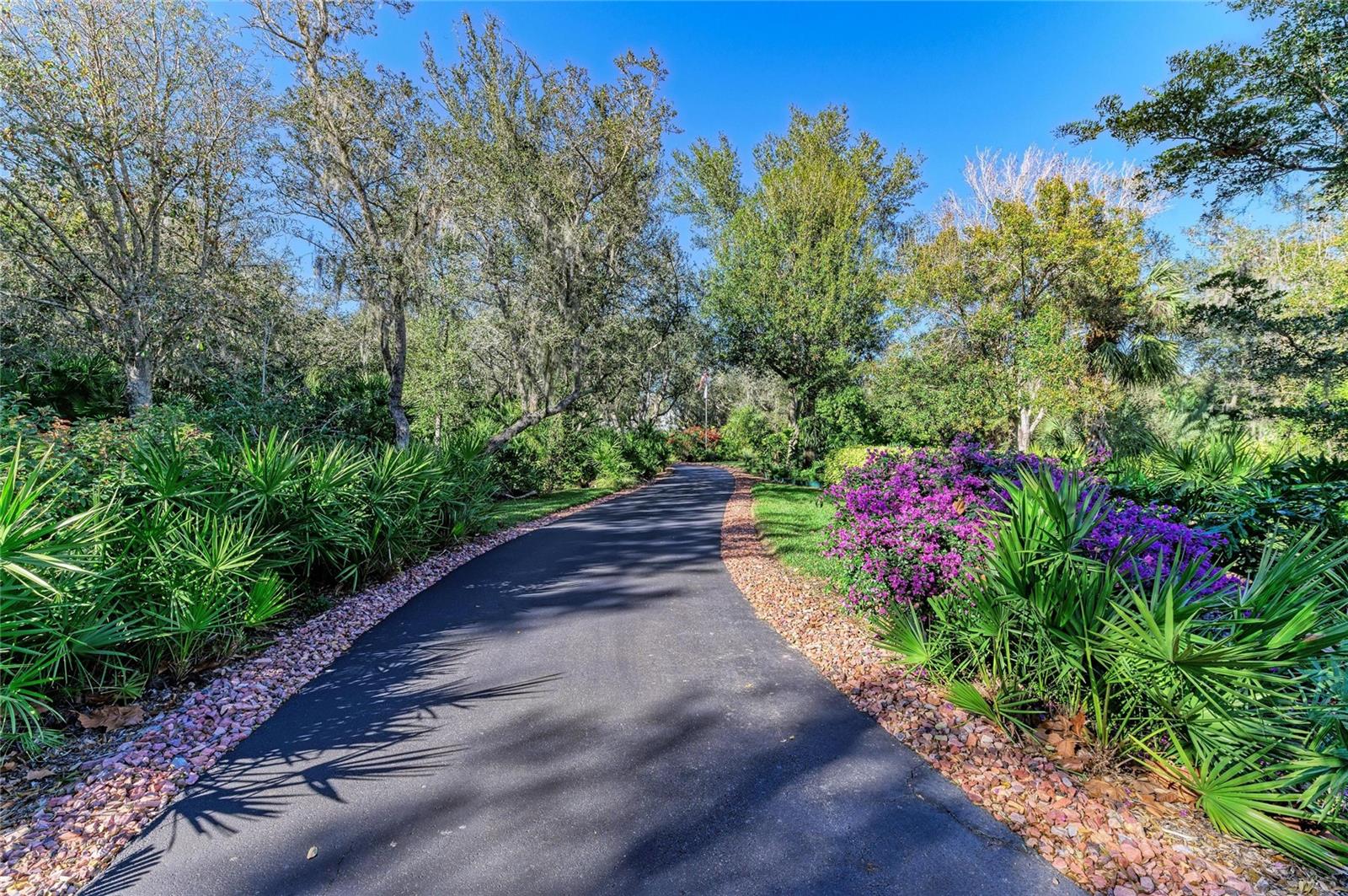 39321 WASHINGTON LOOP RD