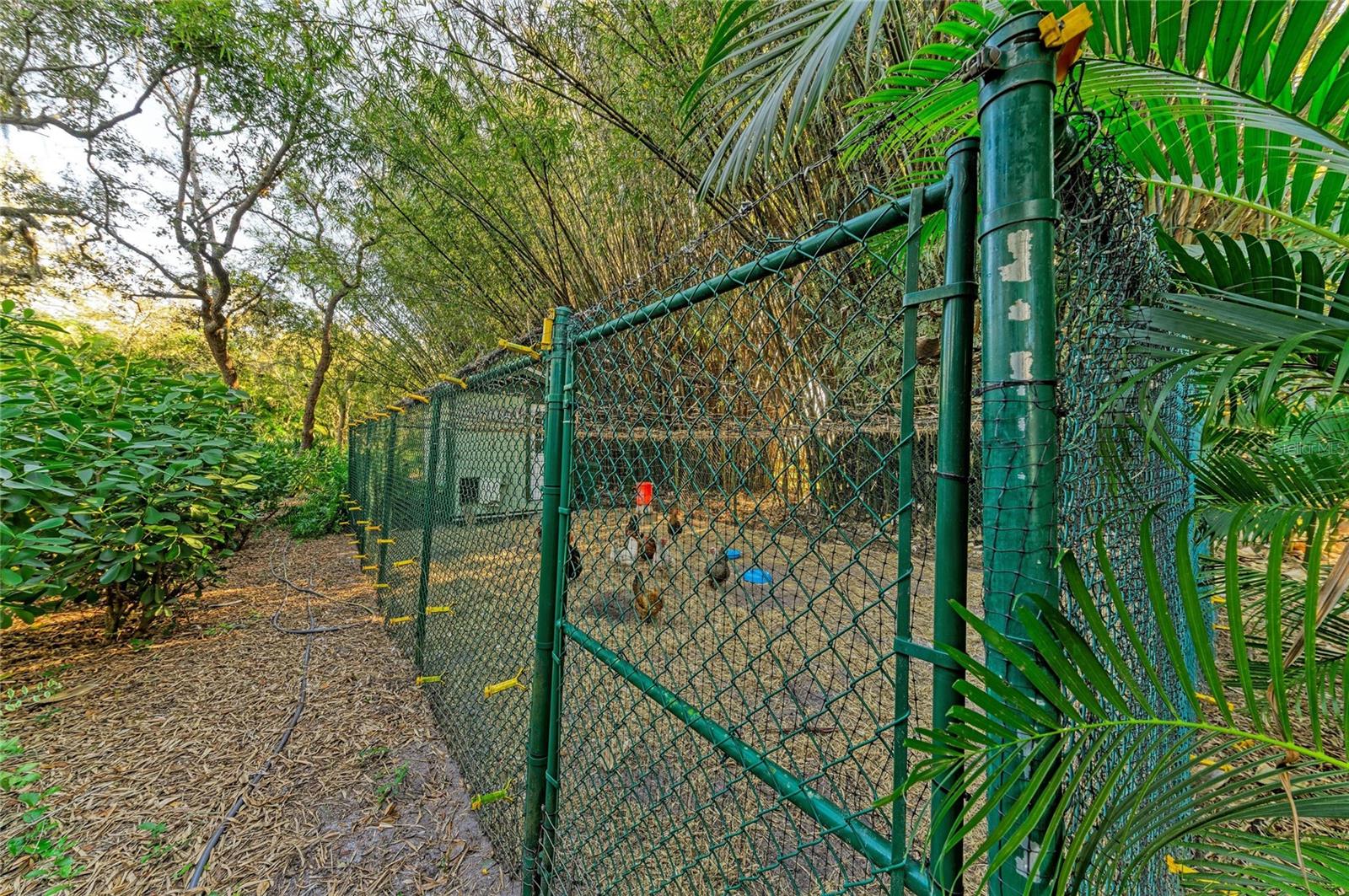 39321 WASHINGTON LOOP RD