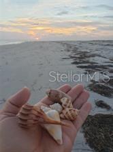 7454 PALM ISLAND DR #3311