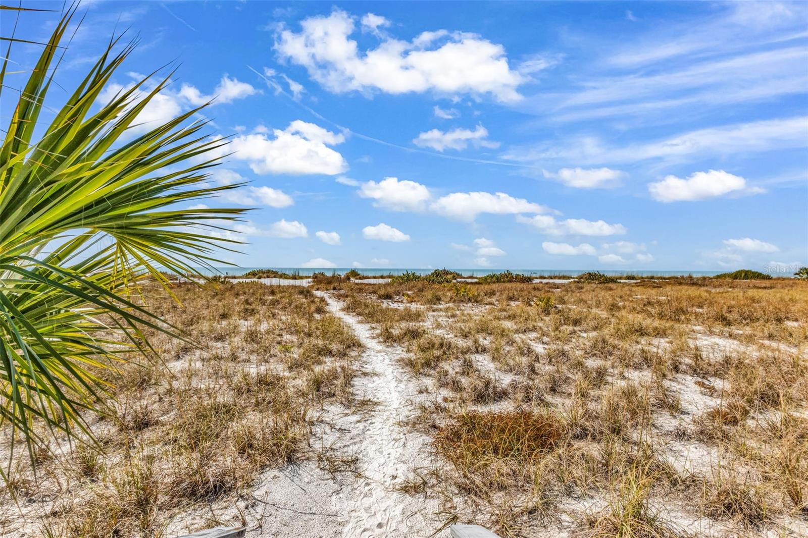 7454 PALM ISLAND DR #3311