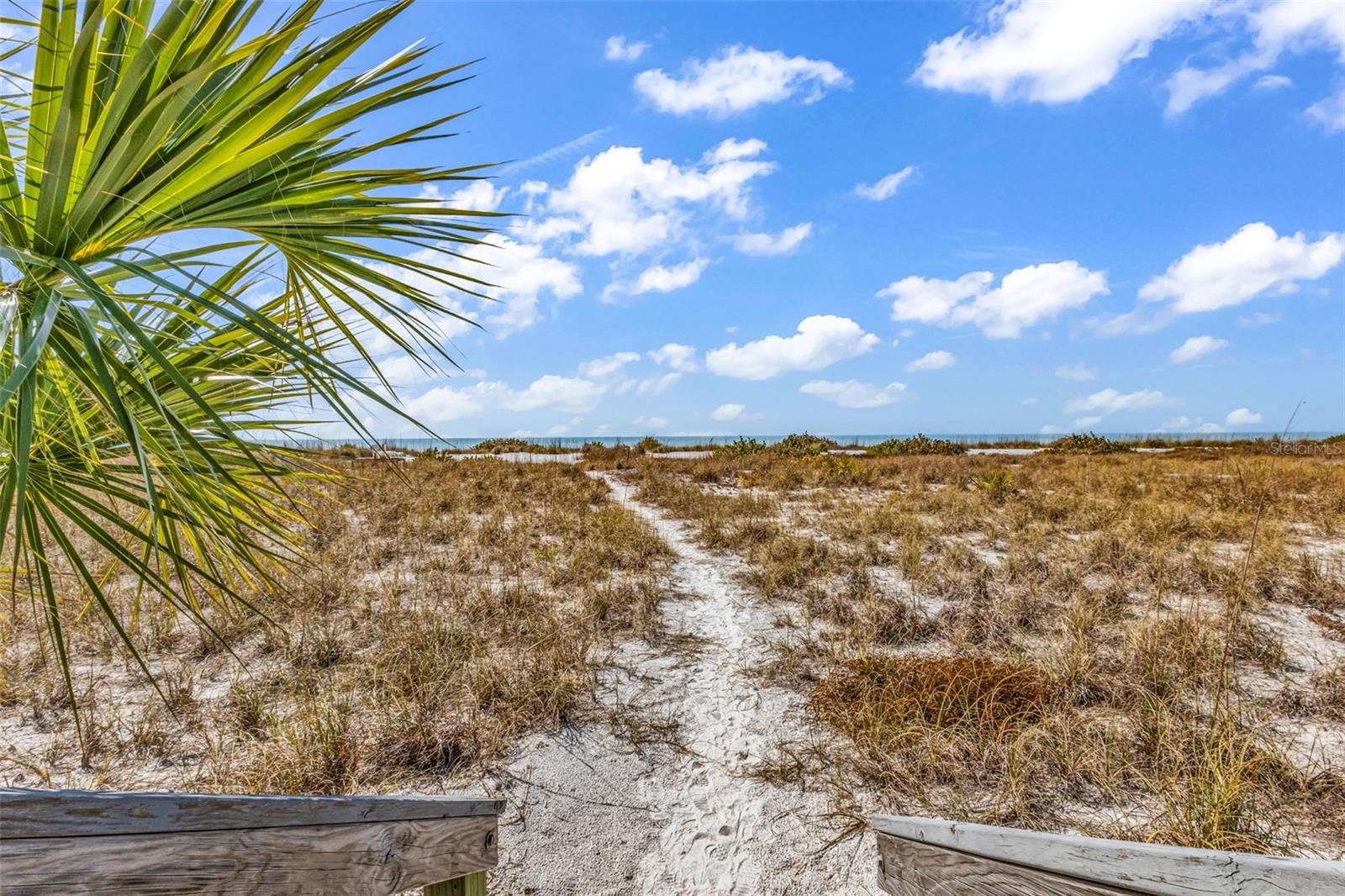 7454 PALM ISLAND DR #3311