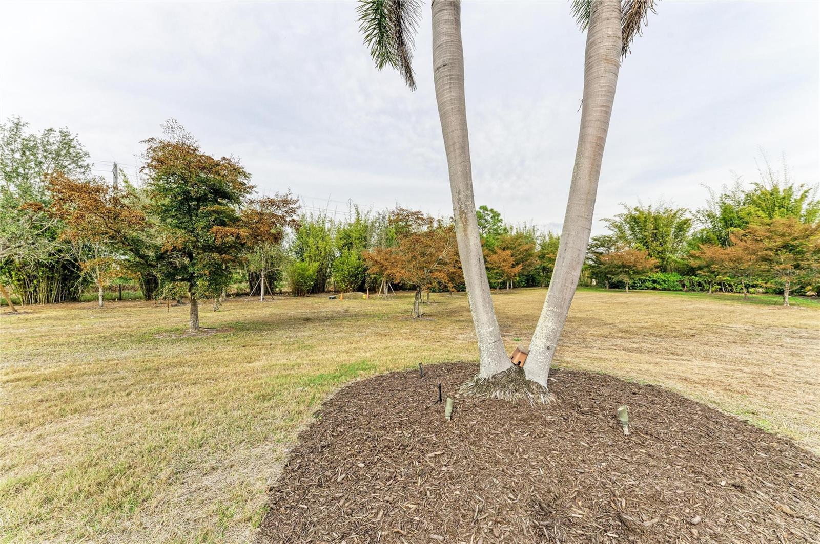 5348 PALANGOS DR