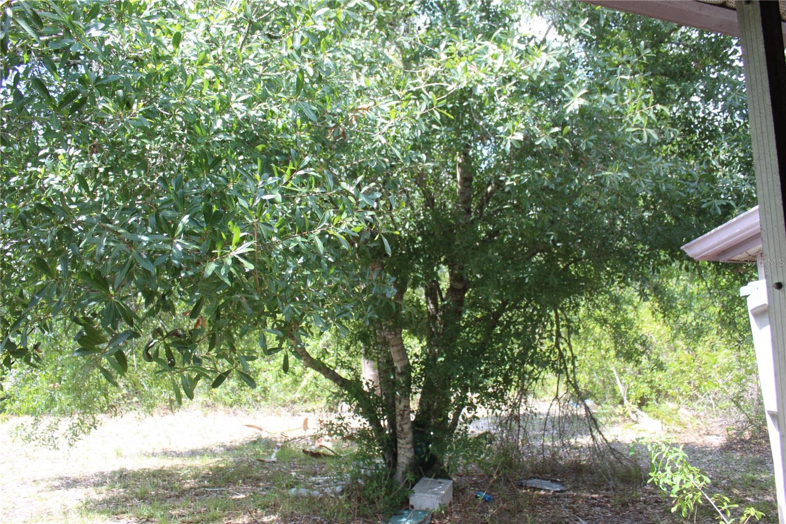 20270 PEACHLAND BLVD