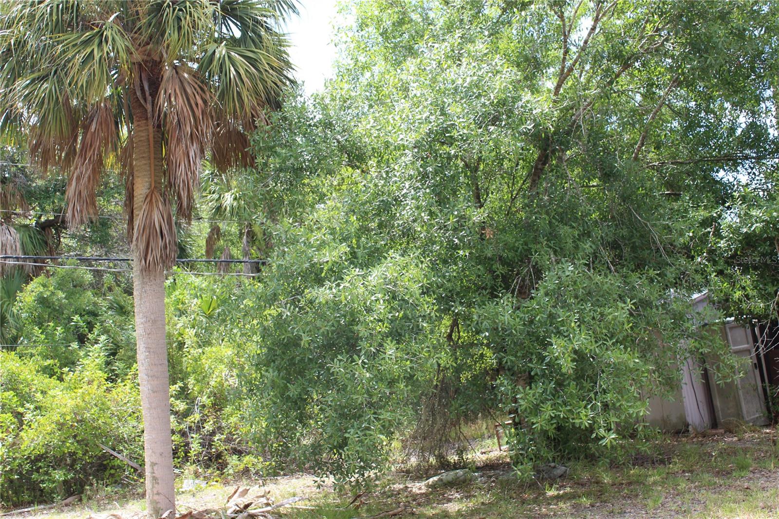 20270 PEACHLAND BLVD