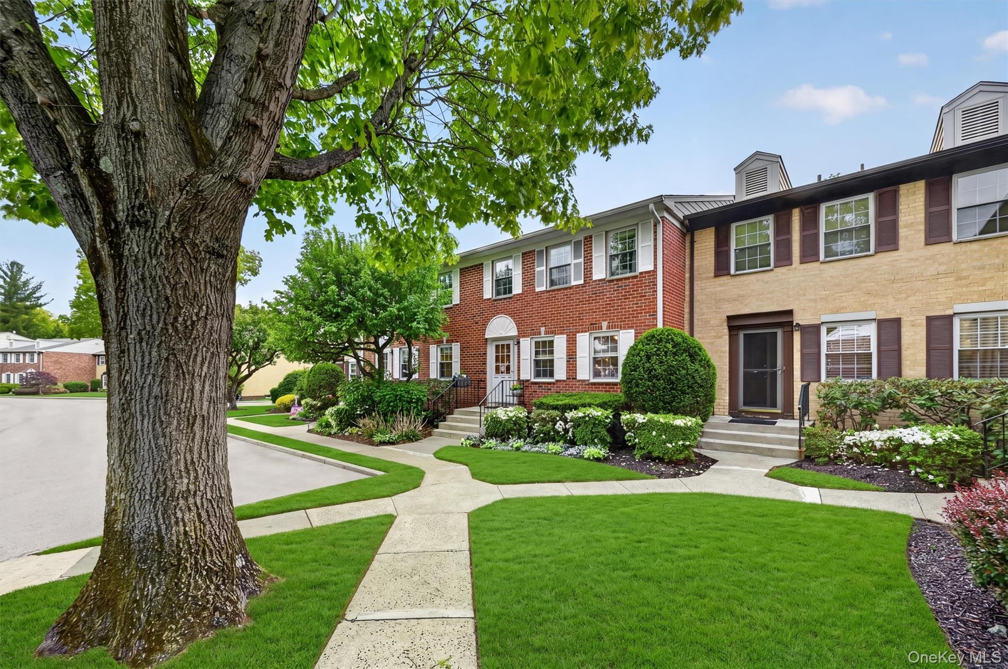 426 Genesee Court