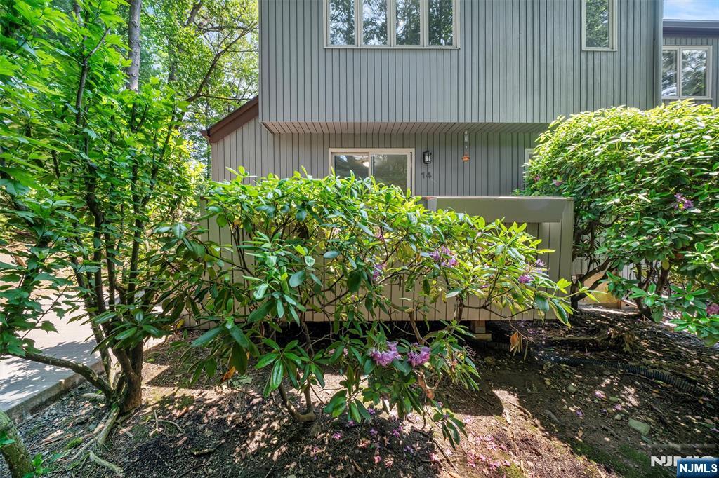 14 Bayard Lane
