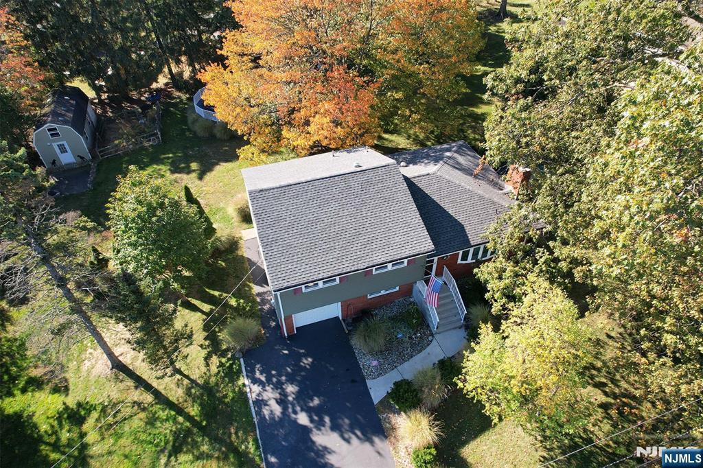 156 Dorothy