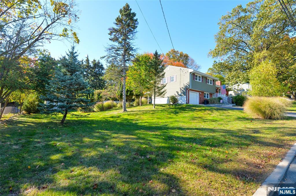 156 Dorothy
