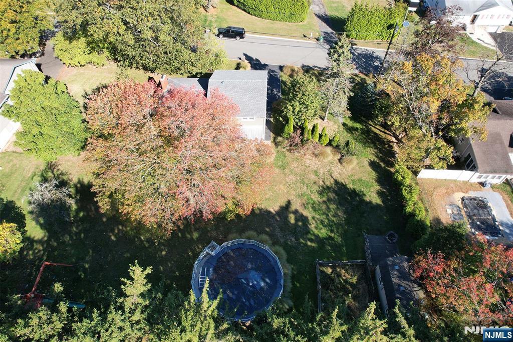 156 Dorothy