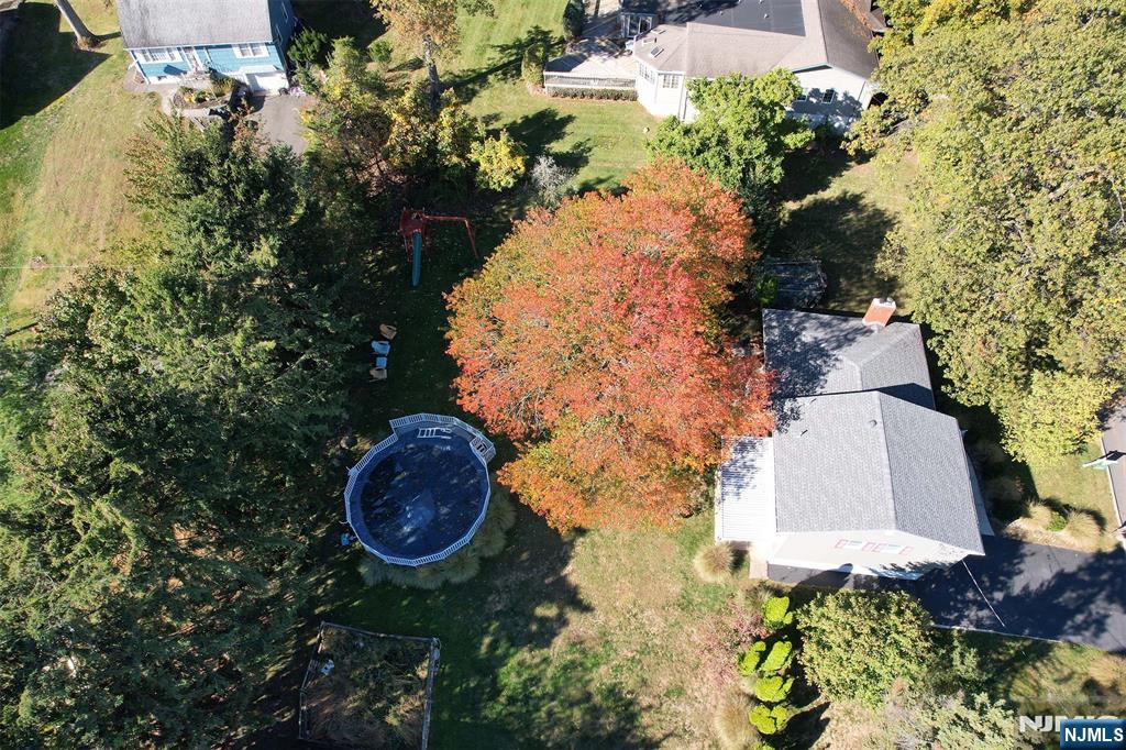 156 Dorothy