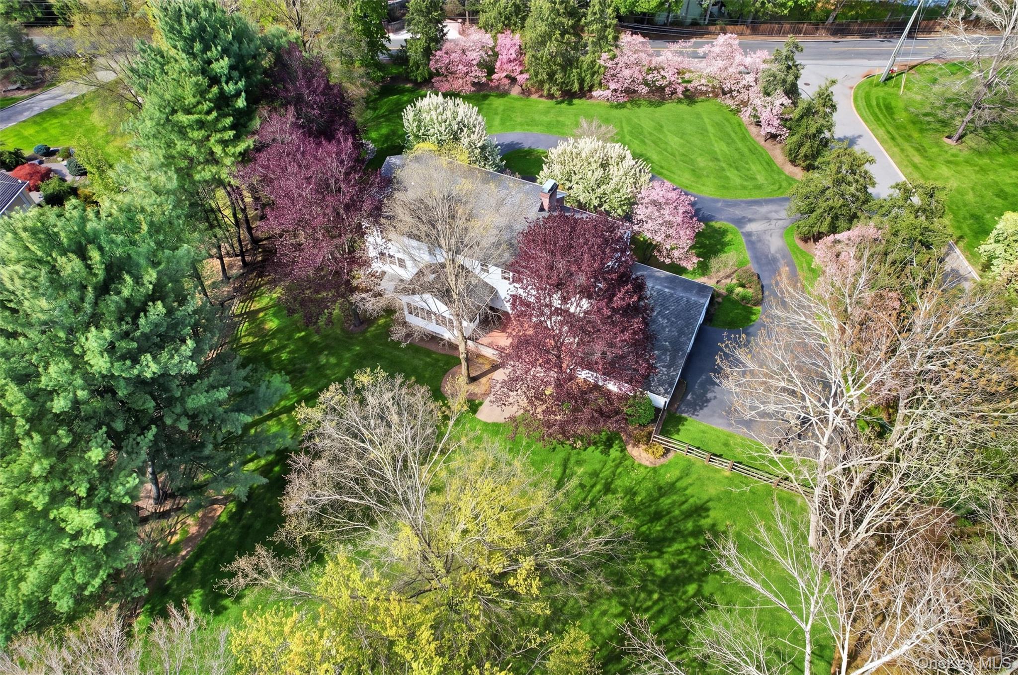 1 Vivian Place