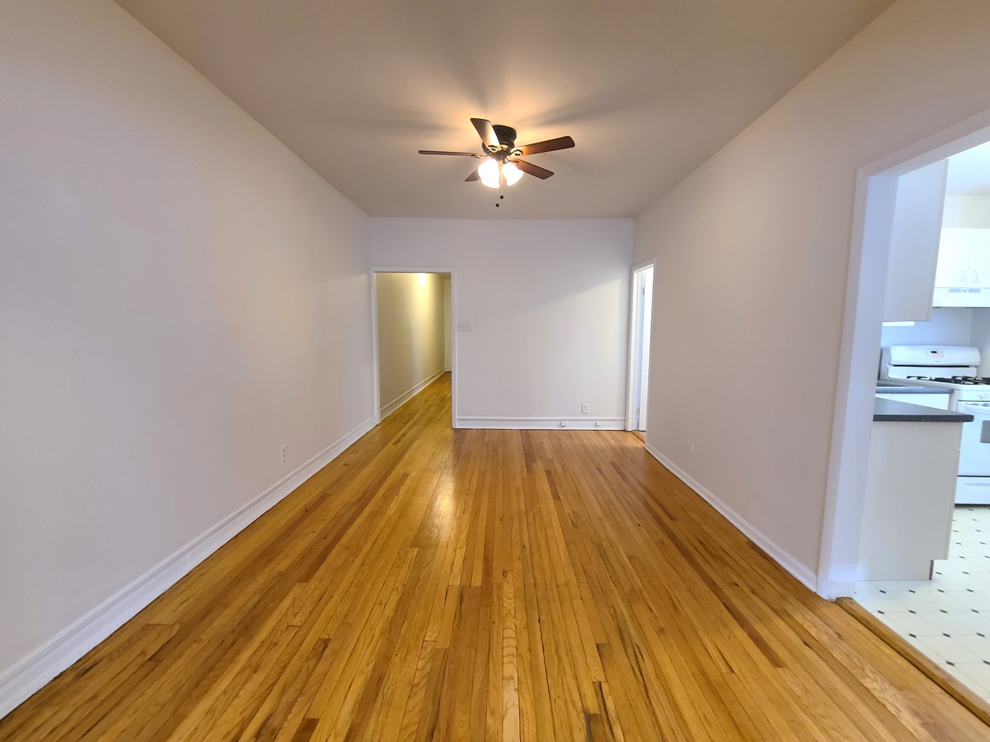 707 W Cornelia Avenue Unit: 3R