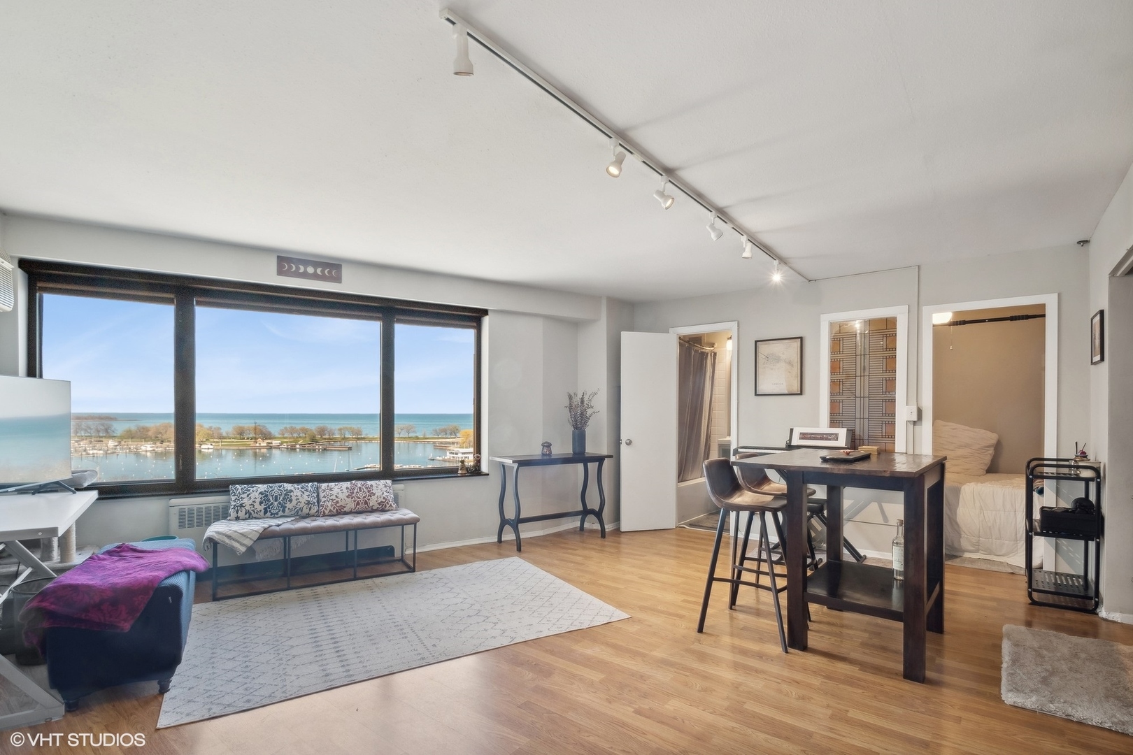 3100 N lake shore Drive Unit: 1113