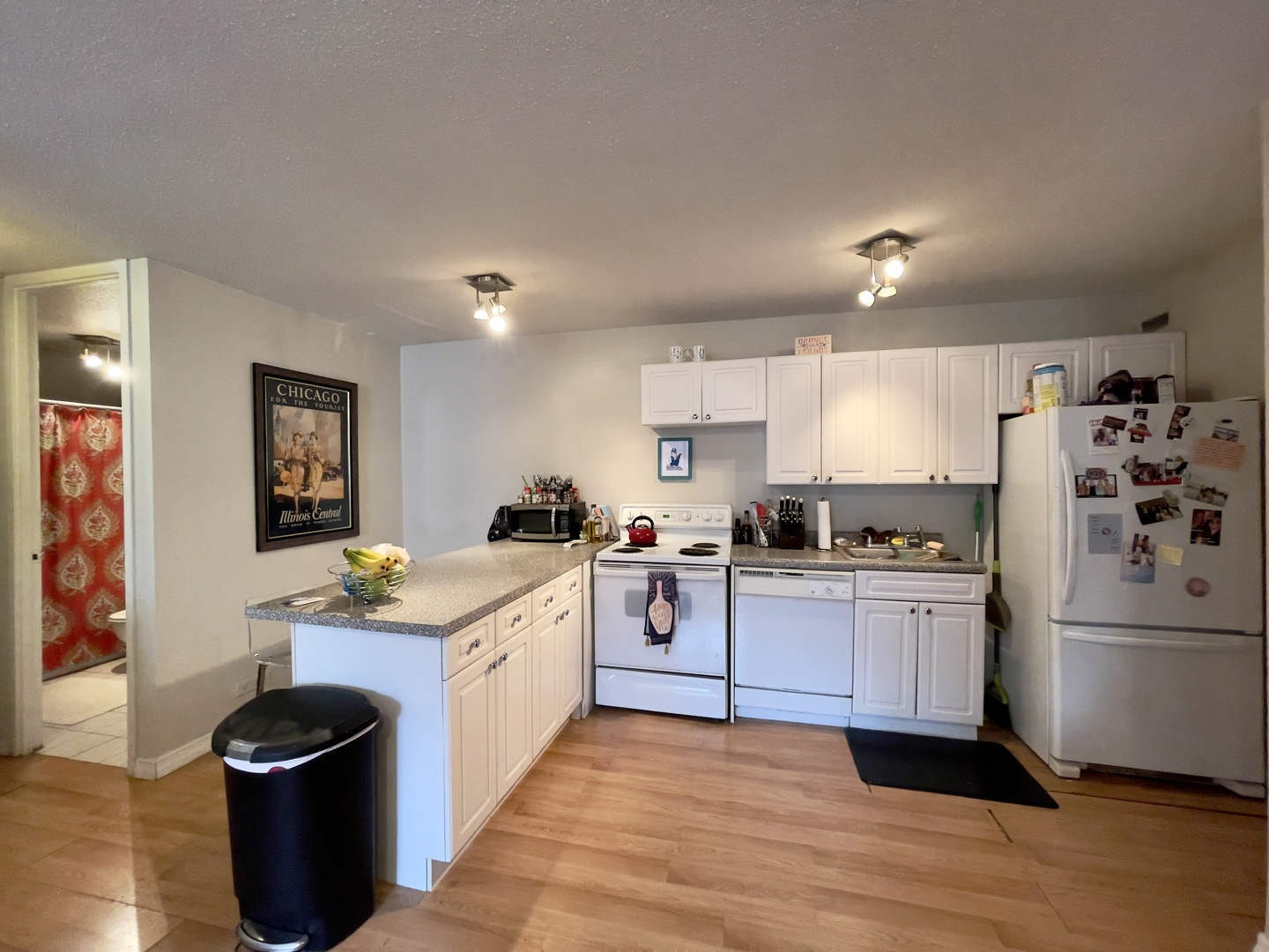 1339 N Dearborn Street Unit: 4F