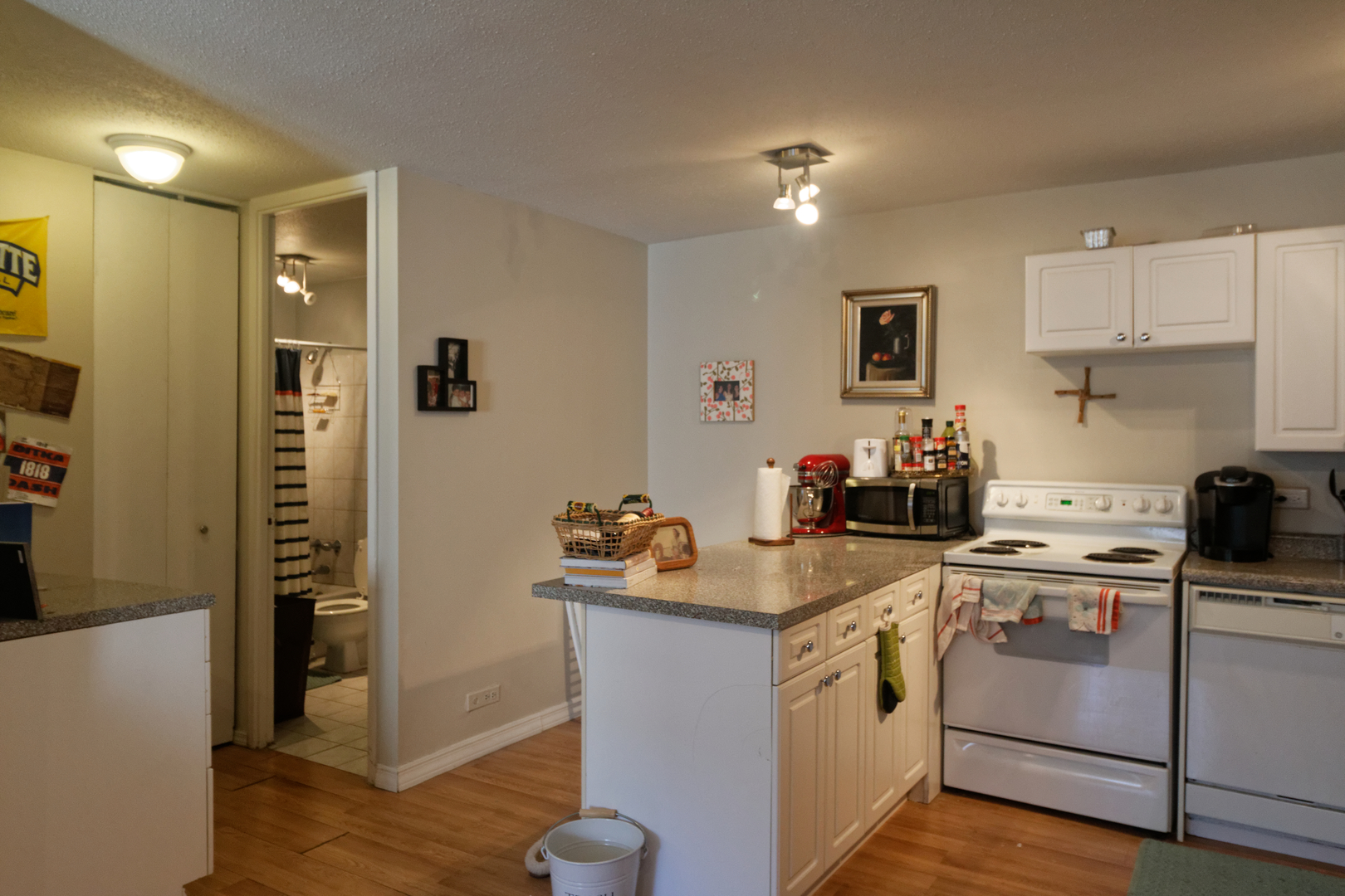 1339 N Dearborn Street Unit: 4F
